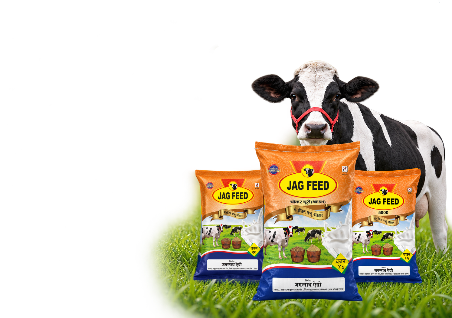 JAG FEED Cow and Products