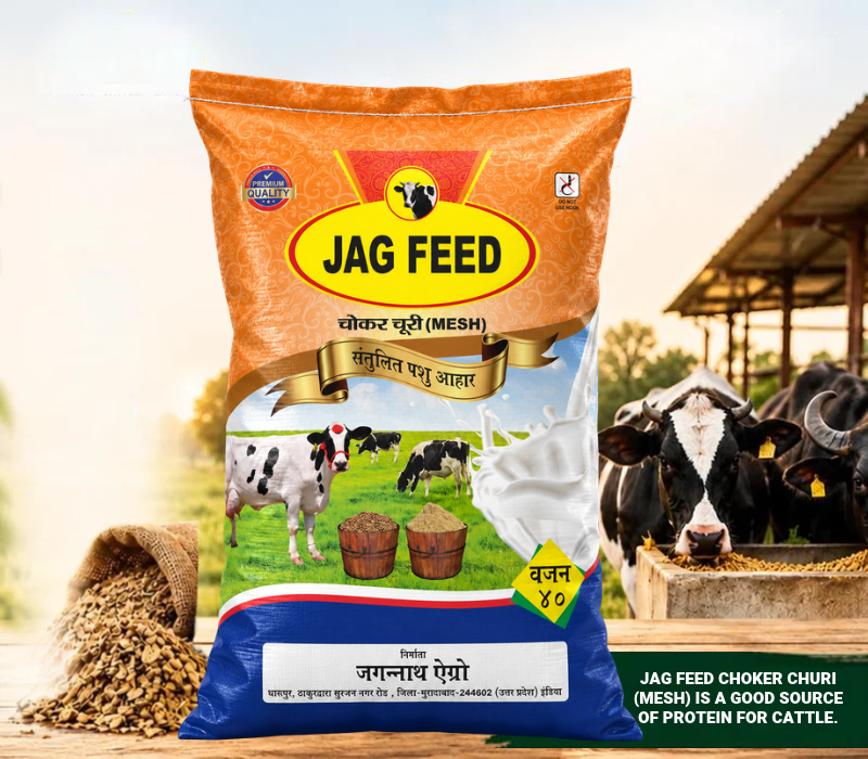 JAG FEED Choker Churi (MESH)